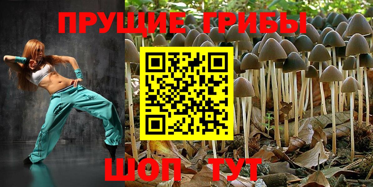 Псилоцибиновые грибы MAGIC MUSHROOMS Новосибирск